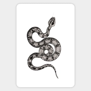 The sinuousness of the snake with its exposed skeleton Magnet